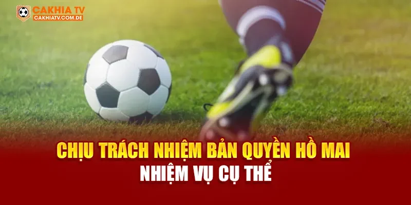 Chịu trách nhiệm bản quyền Hồ Mai - nhiệm vụ cụ thể