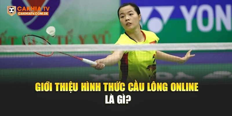 Giới thiệu hình thức cầu lông online là gì